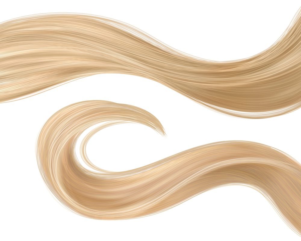 3d realistic blond hair strand with curl vector 3d realistic blond hair strand with curl vector. Woman care with shampoo for blonde color. Shiny smooth and wavy closeup concept of female natural element. Detailed texture for conditioner advertising